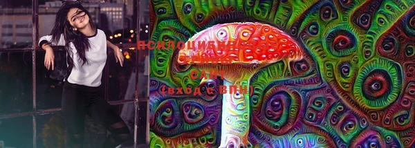 бутират Лагань