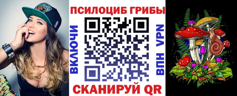 Галлюциногенные грибы Cubensis  где купить   Макарьев 